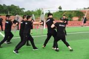 华体会体育赛事直播-包含训练场上刻苦钻研，球队战术连连奏效的词条