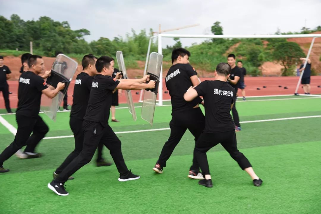 包含训练场上刻苦钻研，球队战术连连奏效的词条